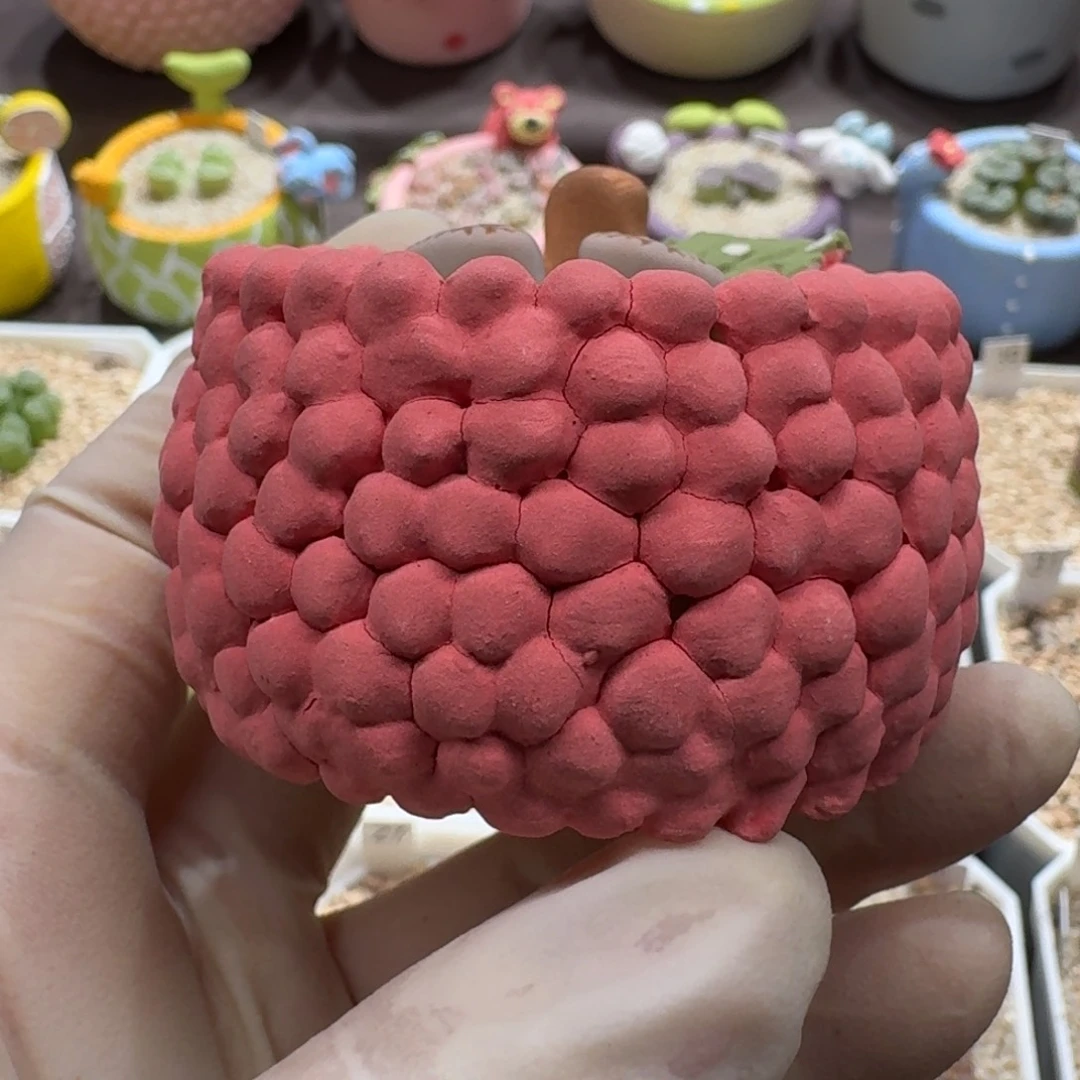 半***光0928-021盆盆盆盆盆