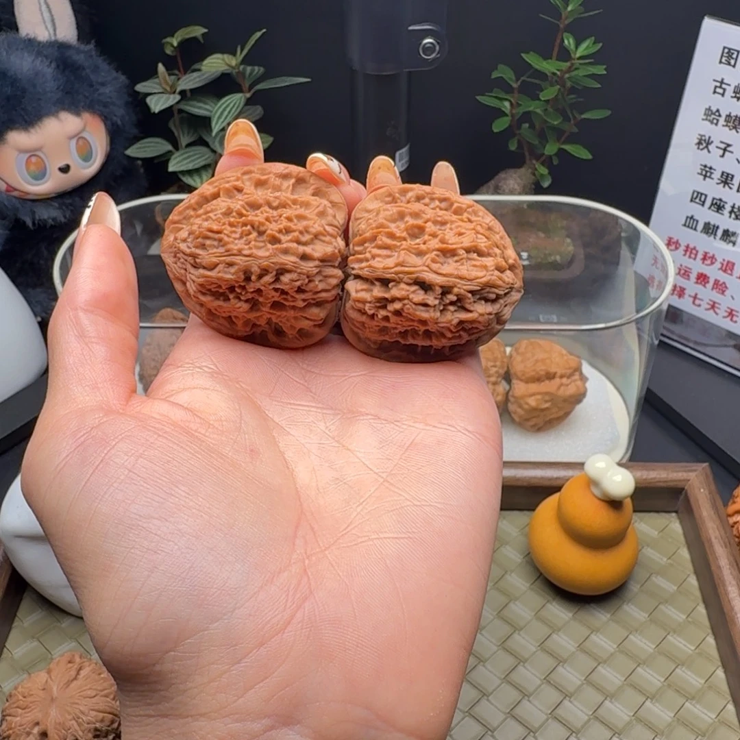 D***人吊坠龙脊菩提全品全家福三角疆