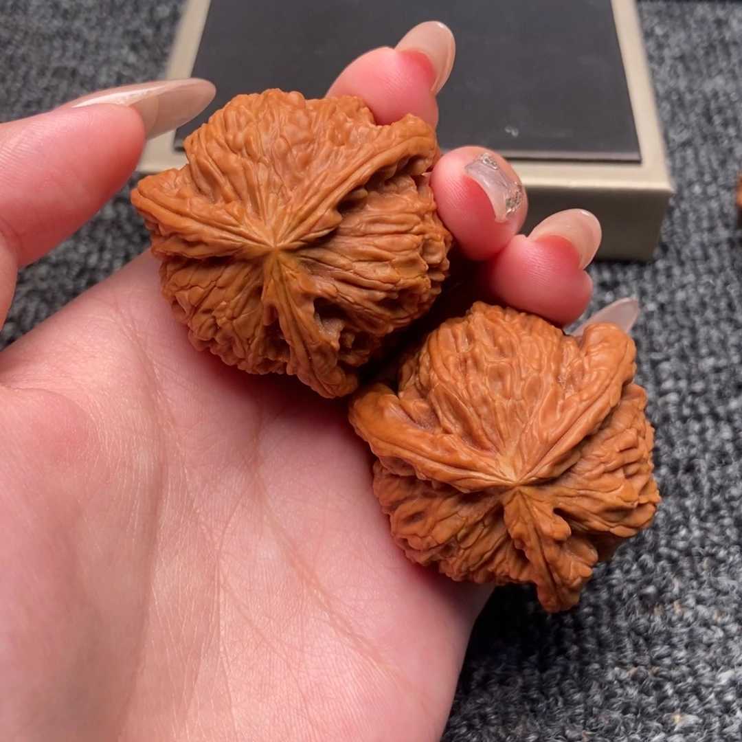北***者木质类白狮子正奔
