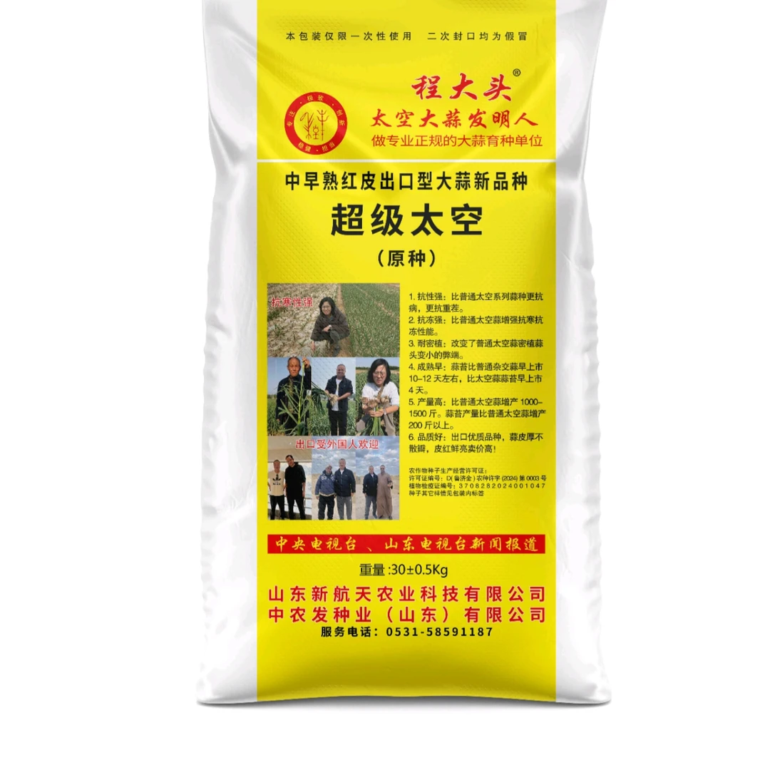 超级太空中早熟大蒜新品种，个头大抗性好，抗寒，蒜薹产量高，蒜头大