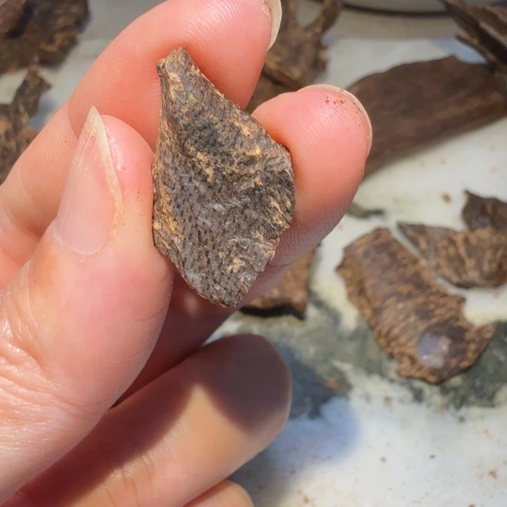 风***9沉香吊坠海南尖峰岭黑油包头沉香碎块.60克