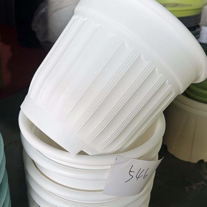 罗马盆32口径5个无托白色