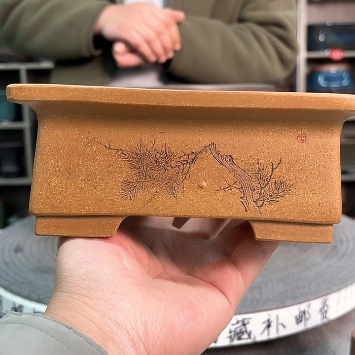 紫砂花盆树*紫砂的花也太漂亮