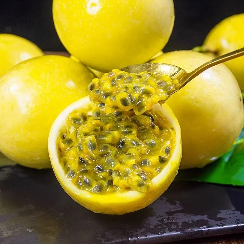 钦蜜9号黄金百香果新鲜采摘现摘现发