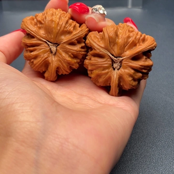 邢***猪文玩核桃吊坠白狮子