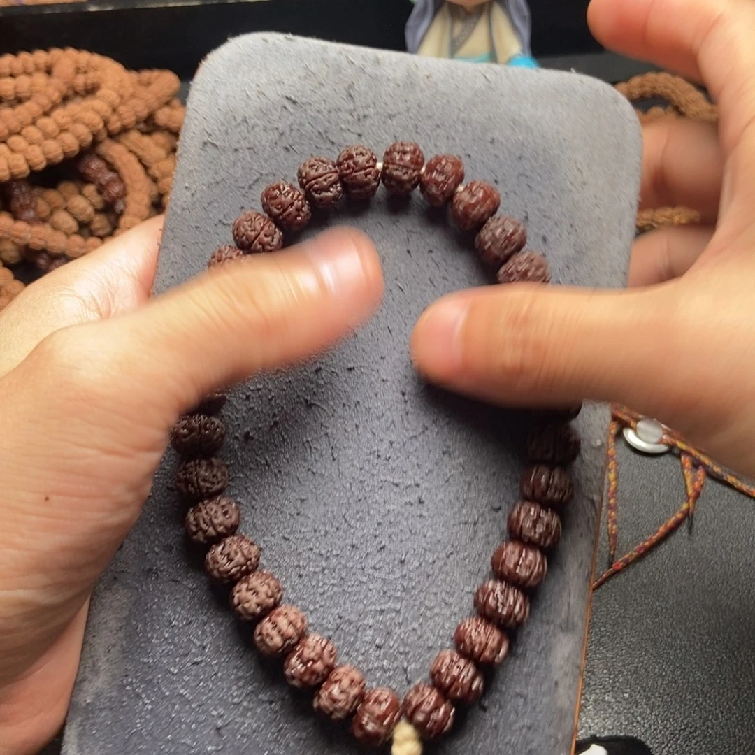 手串金刚菩提老树王