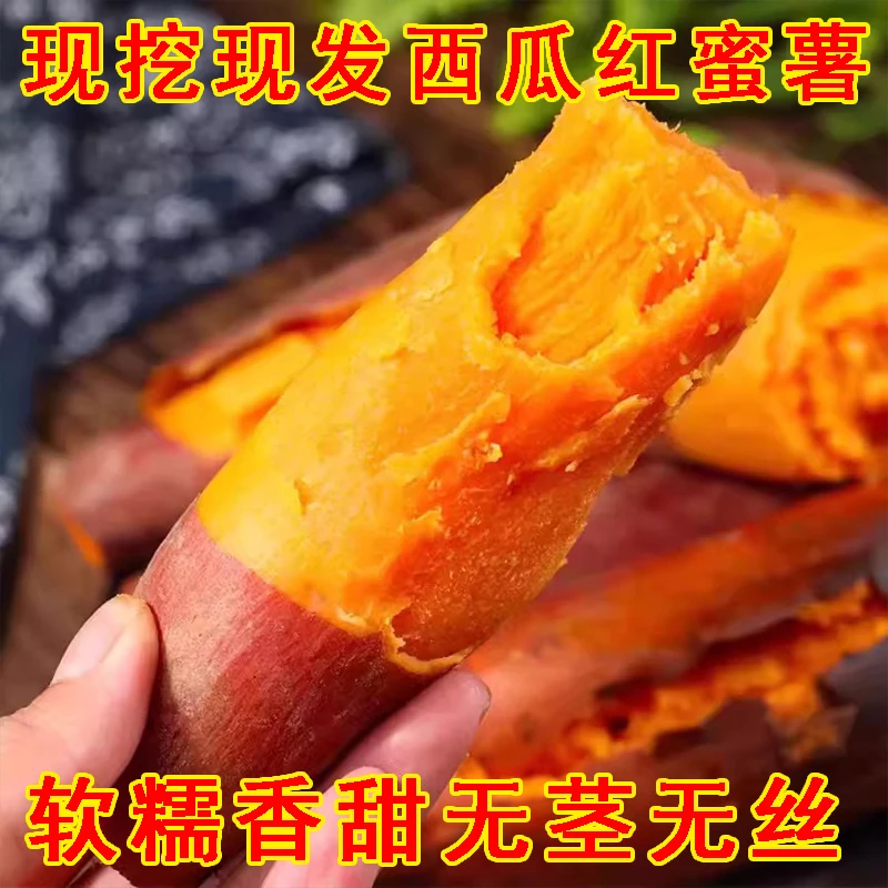 西瓜红蜜薯红心新鲜香甜农家自种板栗番薯山芋营养丰富现挖食用