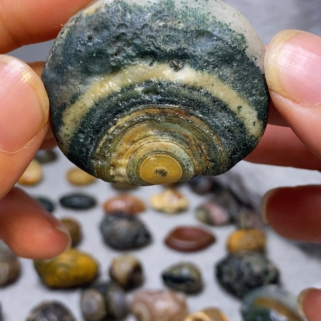 地表浅地表各种天然石头满50包邮   偏远满100包邮