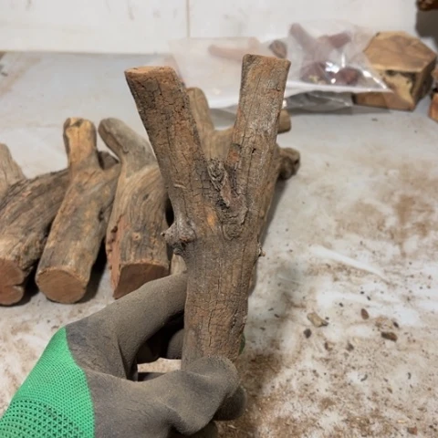 大果紫檀（缅甸花梨）嘎*潮