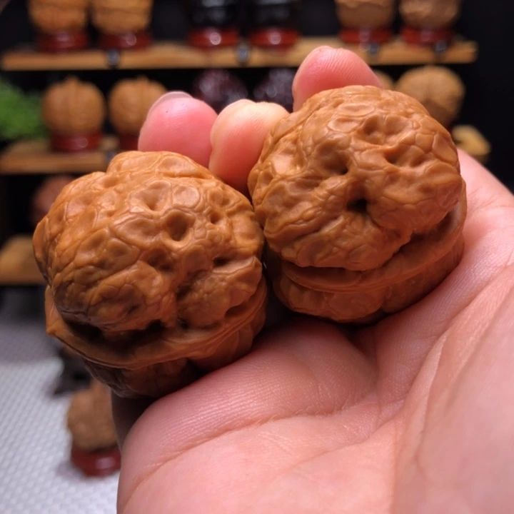 【闪购商品】金蝉疙瘩包3