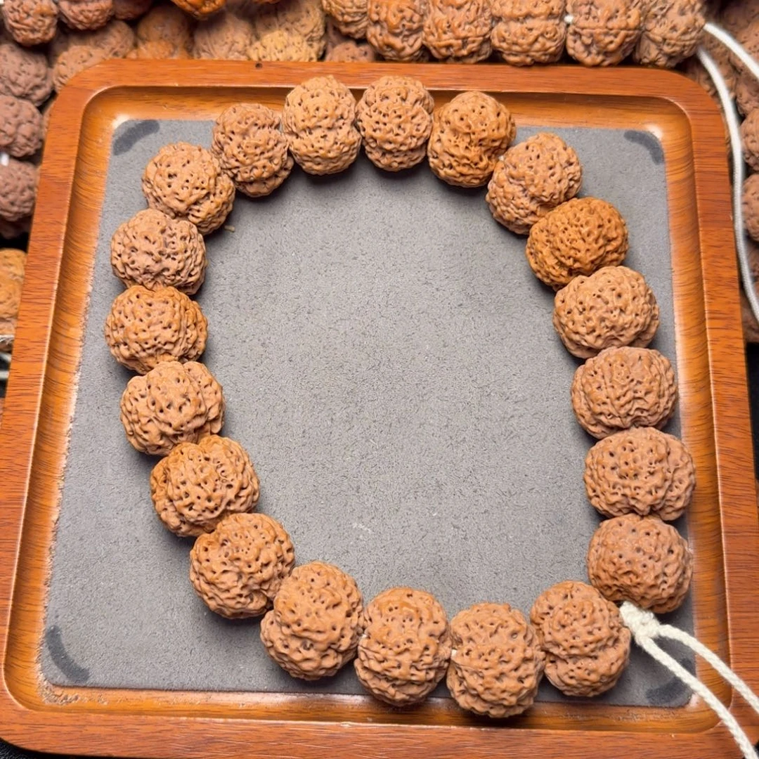 16号尼泊尔大金刚25.5五星蜂王菠萝蜜