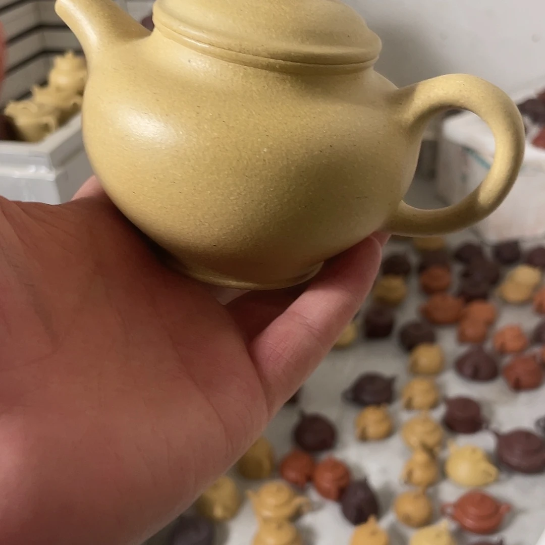 掇只240。本绿。