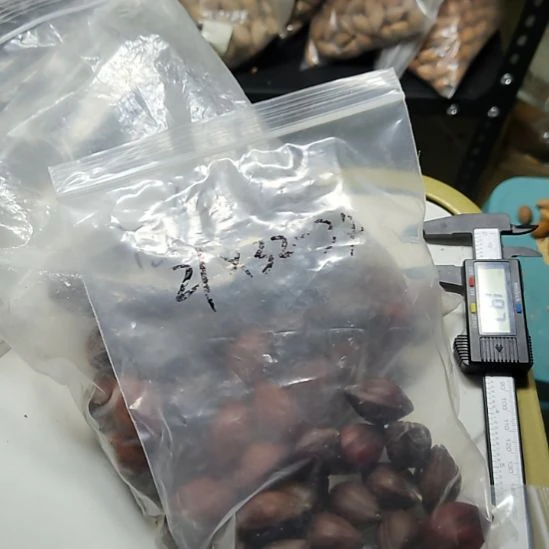h***u吊坠橄榄核染色核