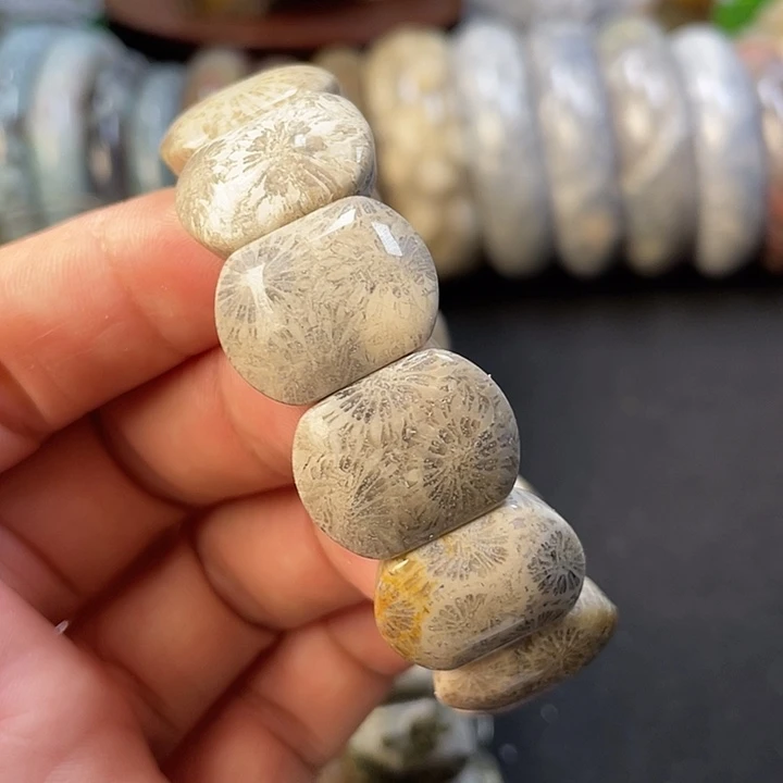 未镶嵌手链硅化珊瑚（珊瑚玉）