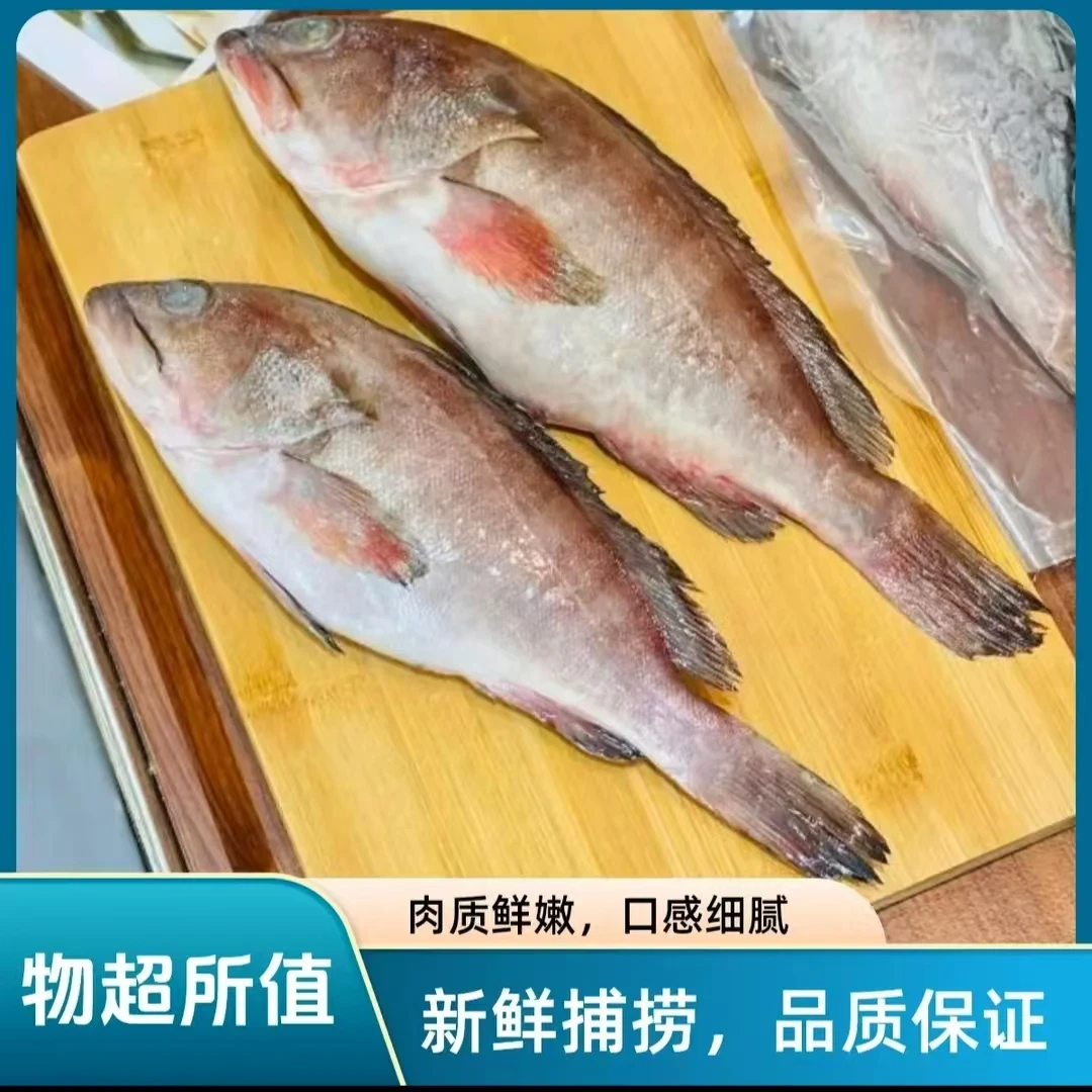 鲜冻冷冻石斑鱼海鲜冻货