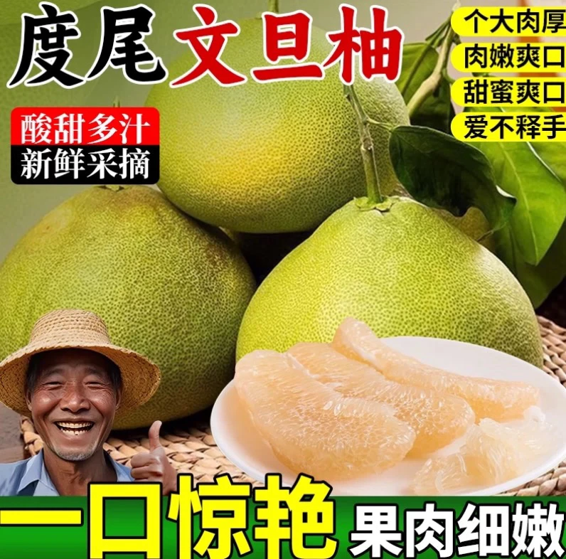 【福建度尾文旦柚子】50年老树新鲜采摘应季中秋团圆国庆送礼水果A