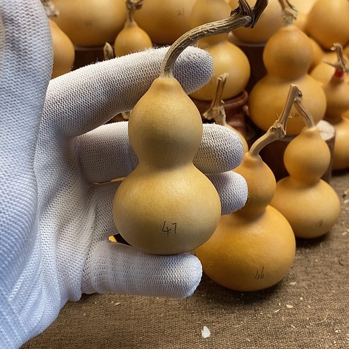 文玩葫芦 完美主义者 慎拍47