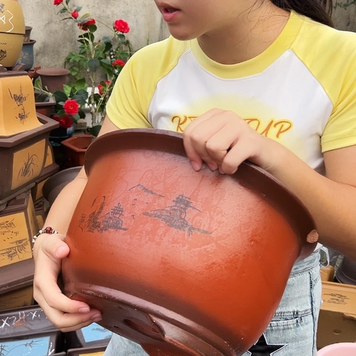 35紫气东来花盆花盆花盆