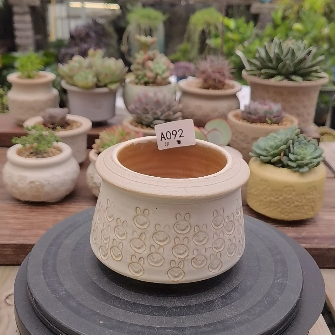 印章多肉花盆A092