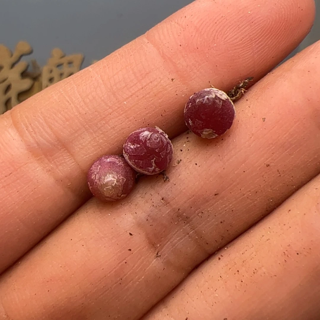 【闪购商品】0000000011哈墨