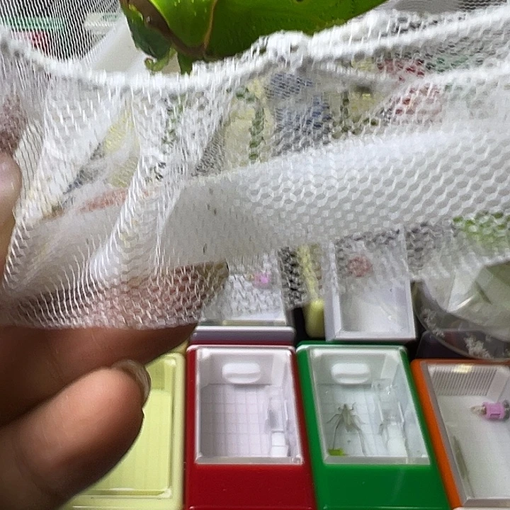 用***9蟋蟀哈哈哈哈哈哈哈哈哈