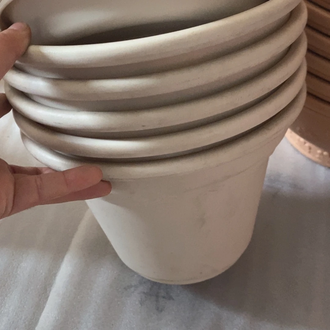 海****～5个爱丽丝8号米色蛋糕盆带托