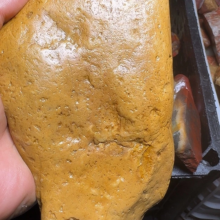 寿山石寿山石的种类