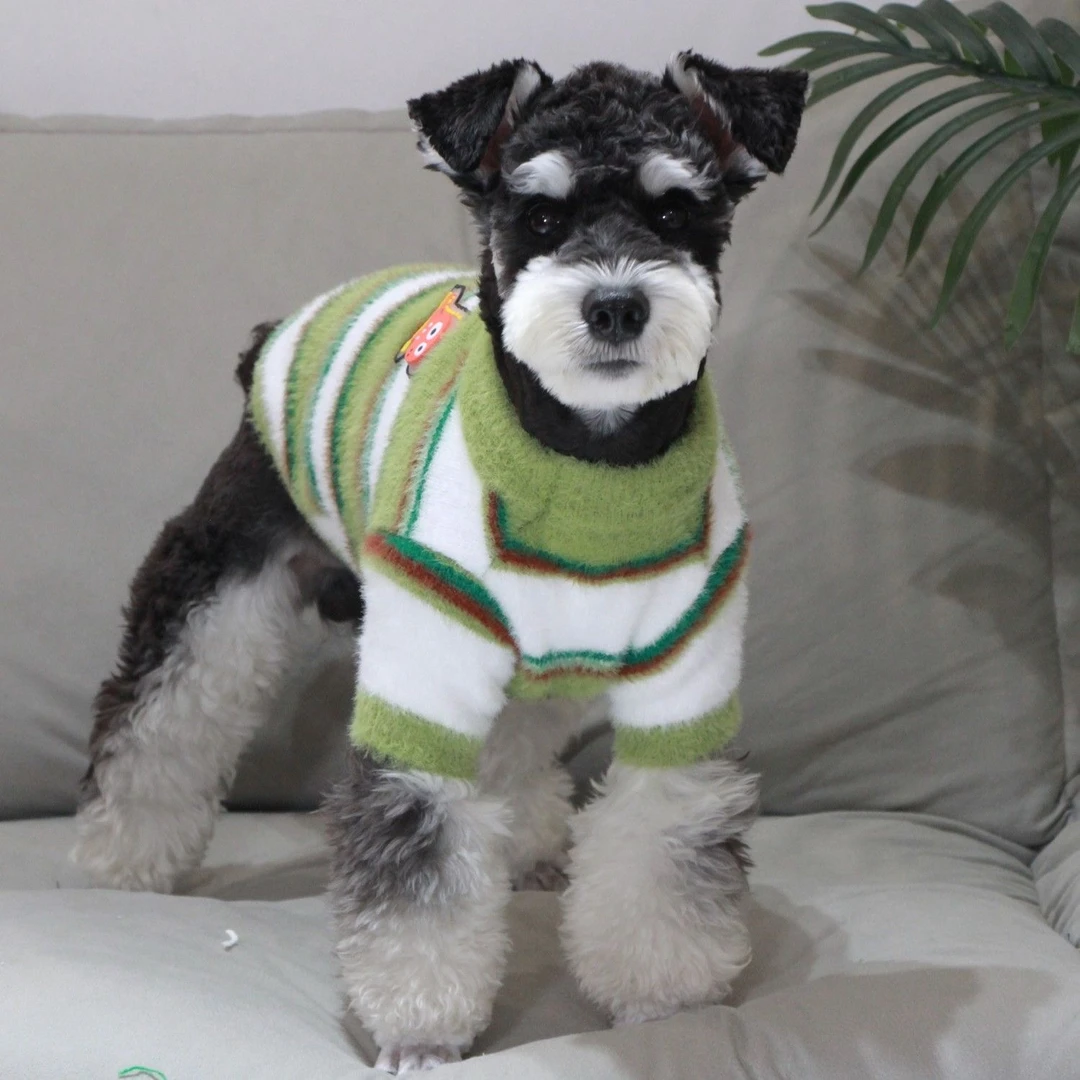 秋冬新款宠物衣服批发貂绒加厚针织毛衣雪耐瑞比熊博美西地高泰迪