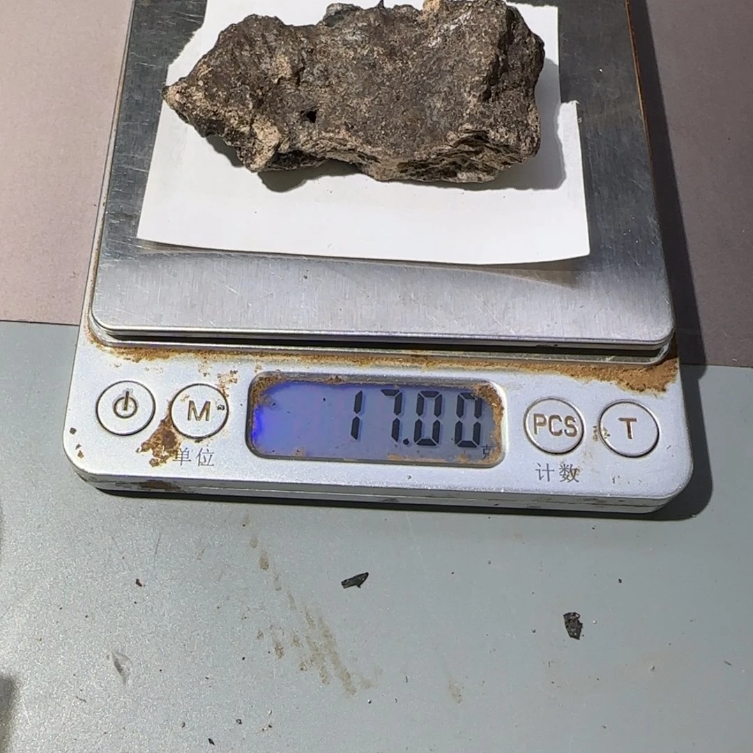 沉香碎屑沉香17克灰白龙仙