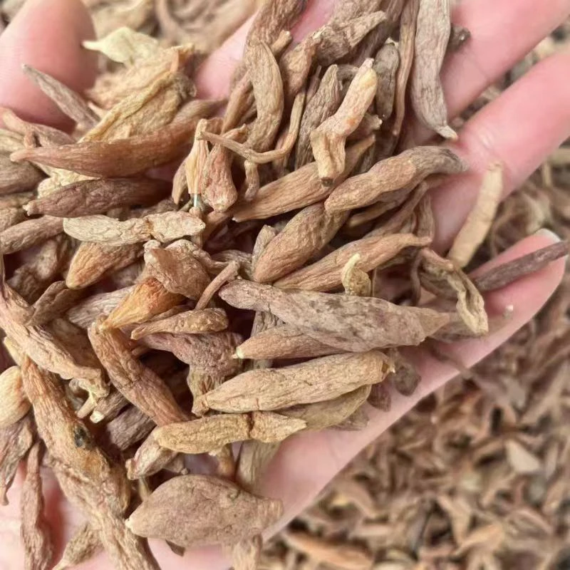 （小帅专属好物）金麦冬