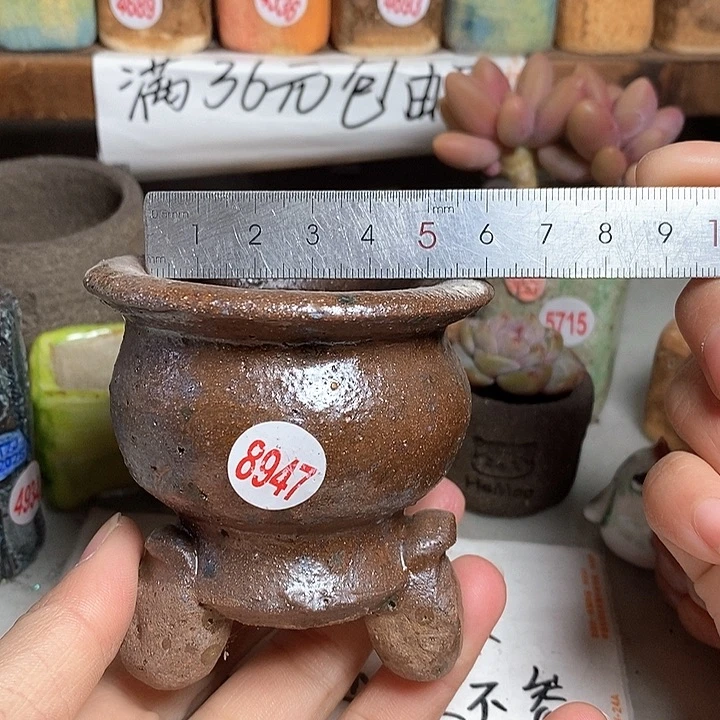 红陶拍5送一个小