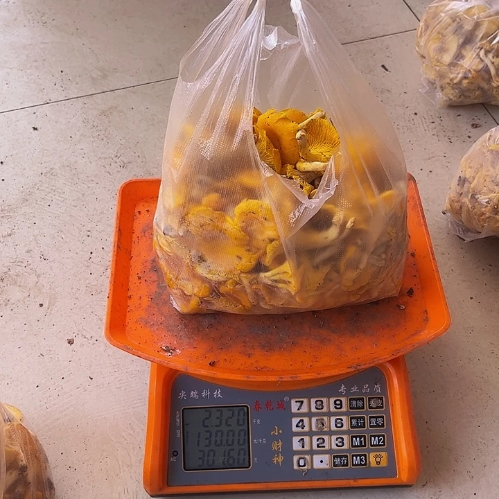 子***毛中国大陆大鸡油冰切2.32斤