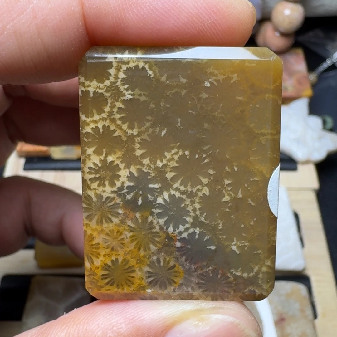 硅化玉未镶嵌纯天然色有机玉石保真色
