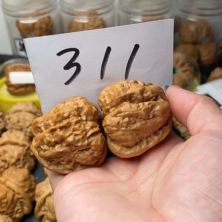 核桃蛤蟆41高尖嘴哈哈哈