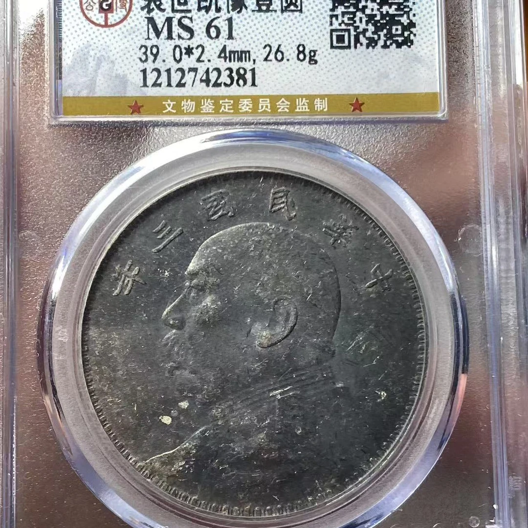 公博61大头 袁世凯像壹圆  2381/yudd