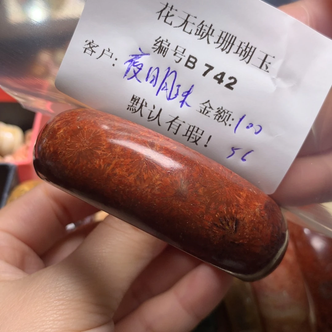 硅化玉手镯未镶嵌夜*珠