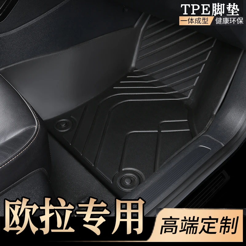 适用于欧拉R1黑猫白猫好猫欧拉闪电龙猫芭蕾猫全包围专用汽车脚垫