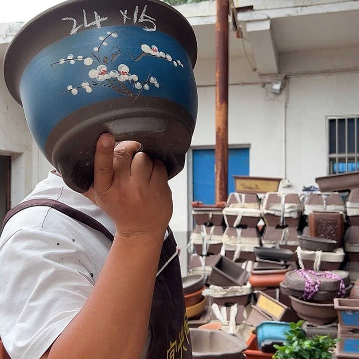 紫砂花盆紫砂花盆