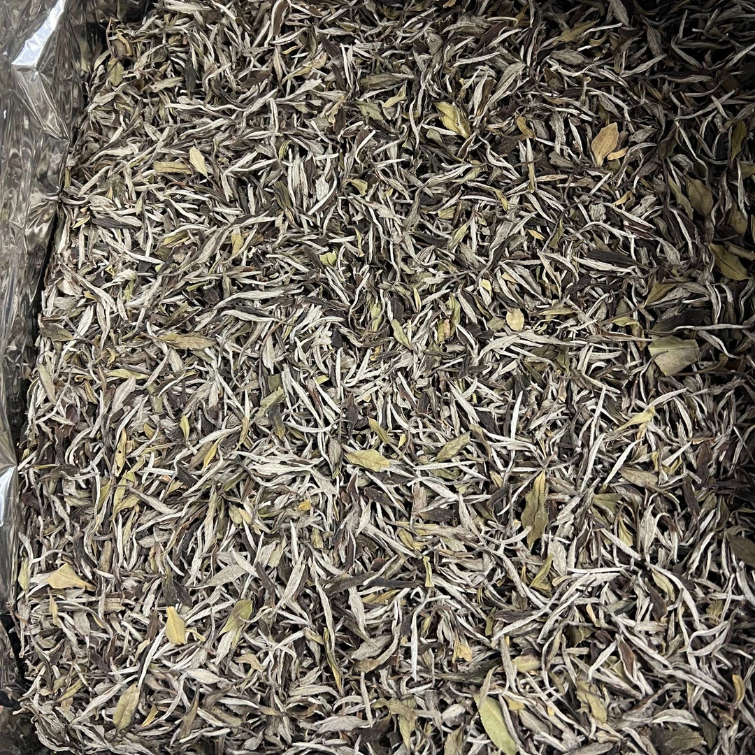 2019年福鼎磻溪高山古树特级牡丹王