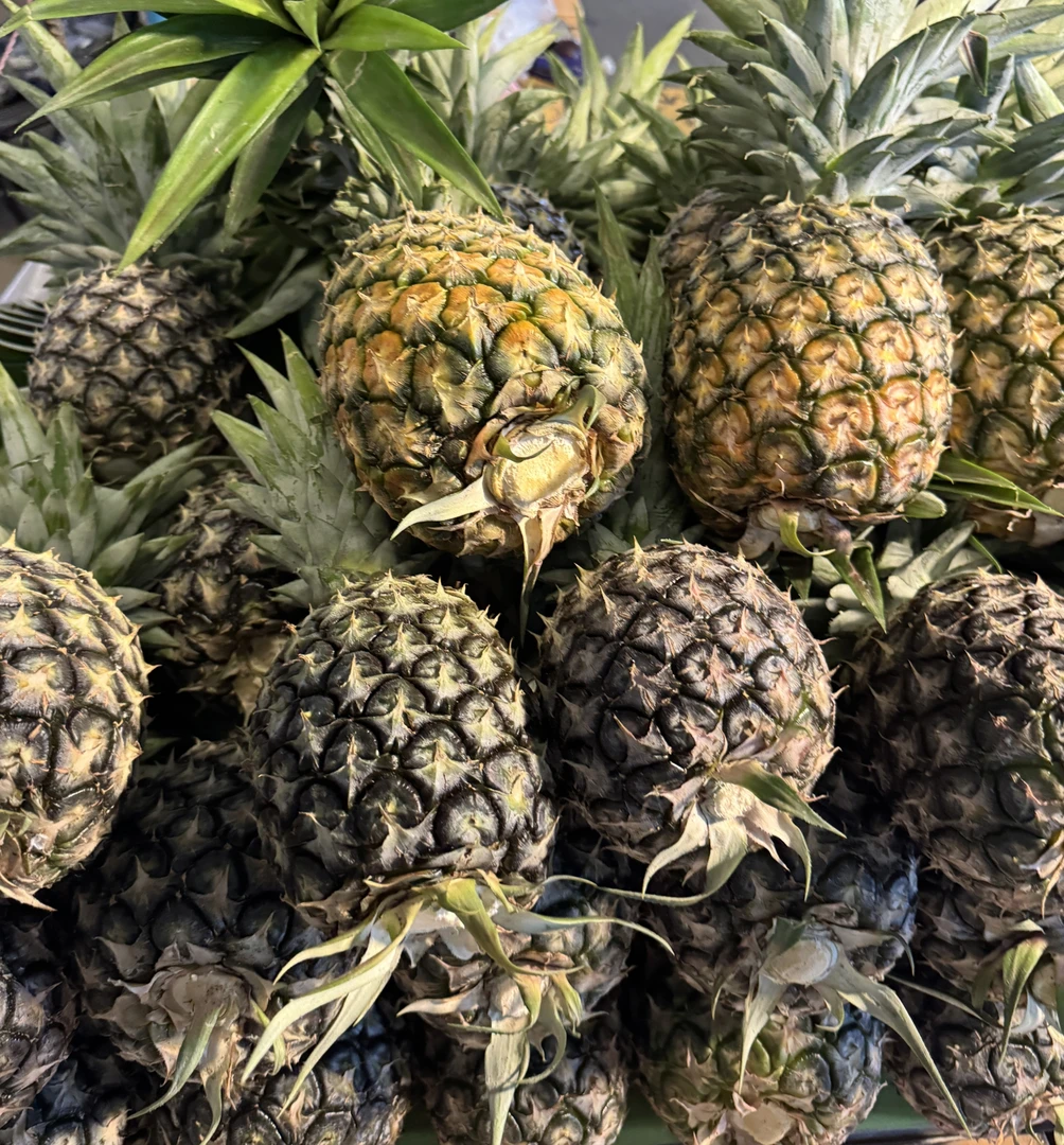 正宗云南西双版纳甜蜜蜜凤梨热带水果爆甜多汁新鲜现摘