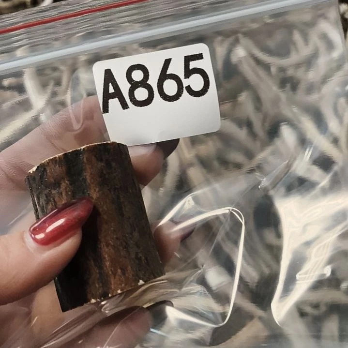 东***~鹿角鹿角鹿角鹿角鹿角