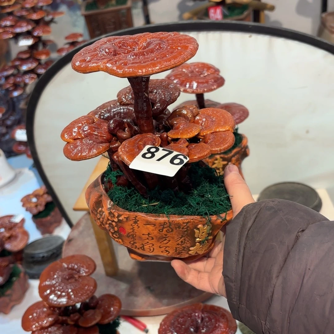 断***点无花朵8888888887888888