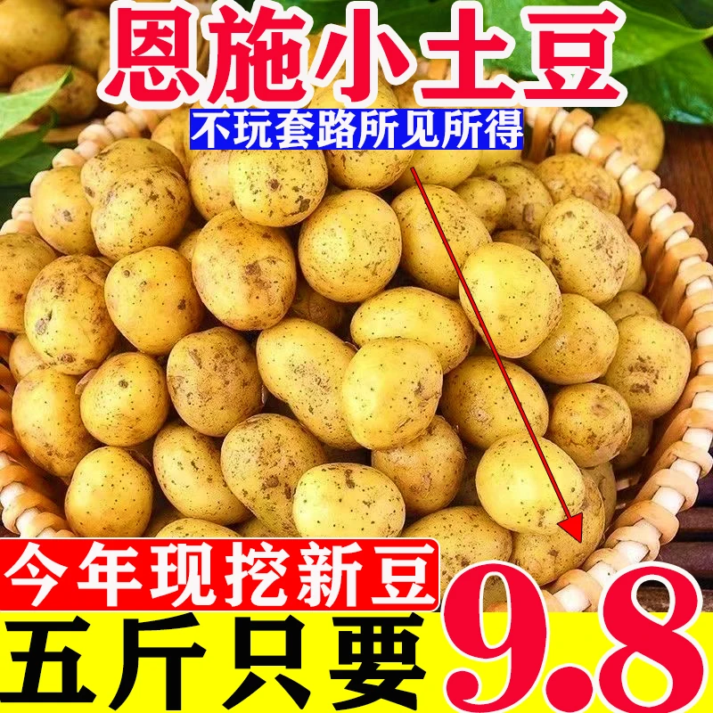 农家新鲜恩施小土豆黄皮黄心奶香应季迷你蔬菜洋芋整箱软糯3/5/9