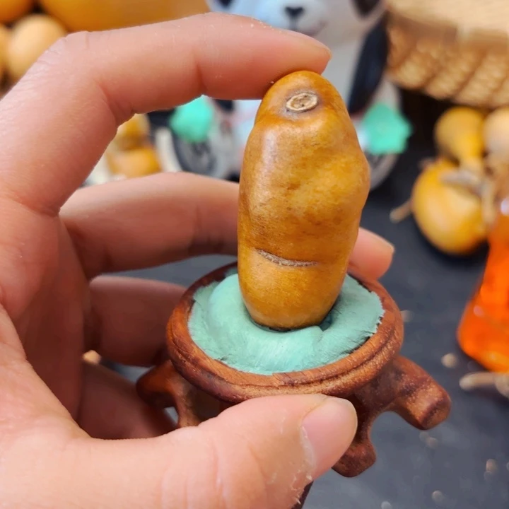 永****88888888888888888888