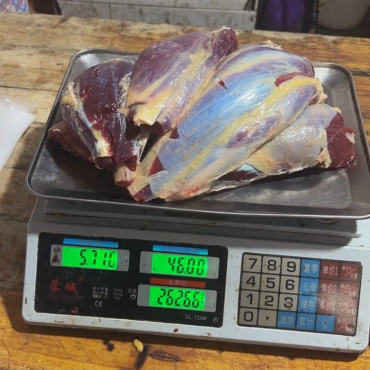 广西土耕马马肉-送马油 送沙姜中国大陆