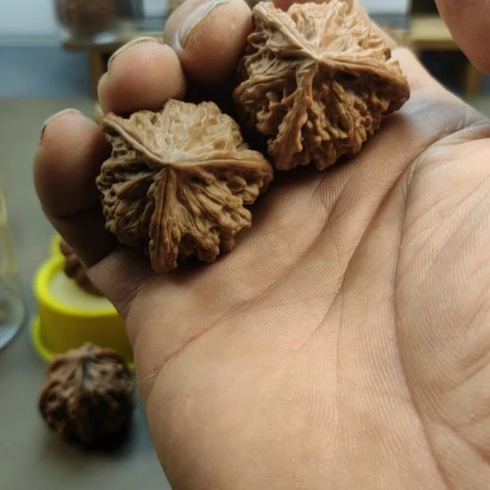 大叶紫檀（黑酸枝木类）盘山三棱核桃