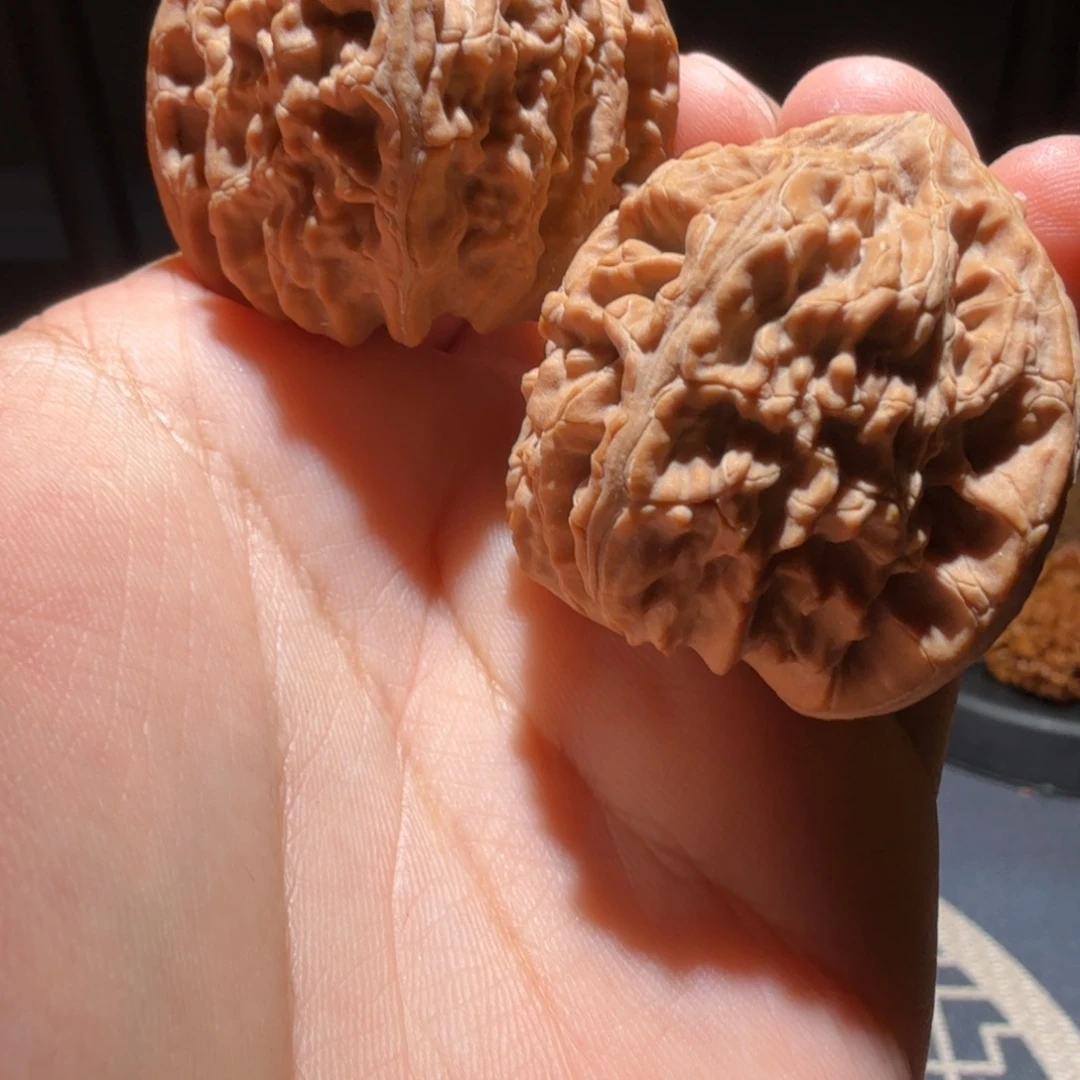 瞌***虫把件猴头核桃三角白