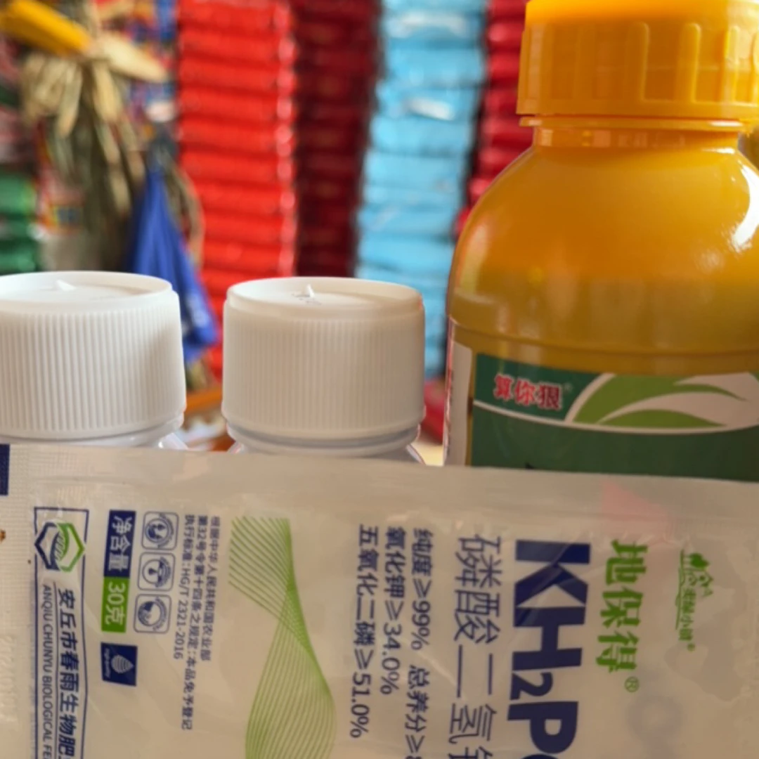 算你狠  大蒜水草野燕麦猪央央封闭方案一套一亩两桶水