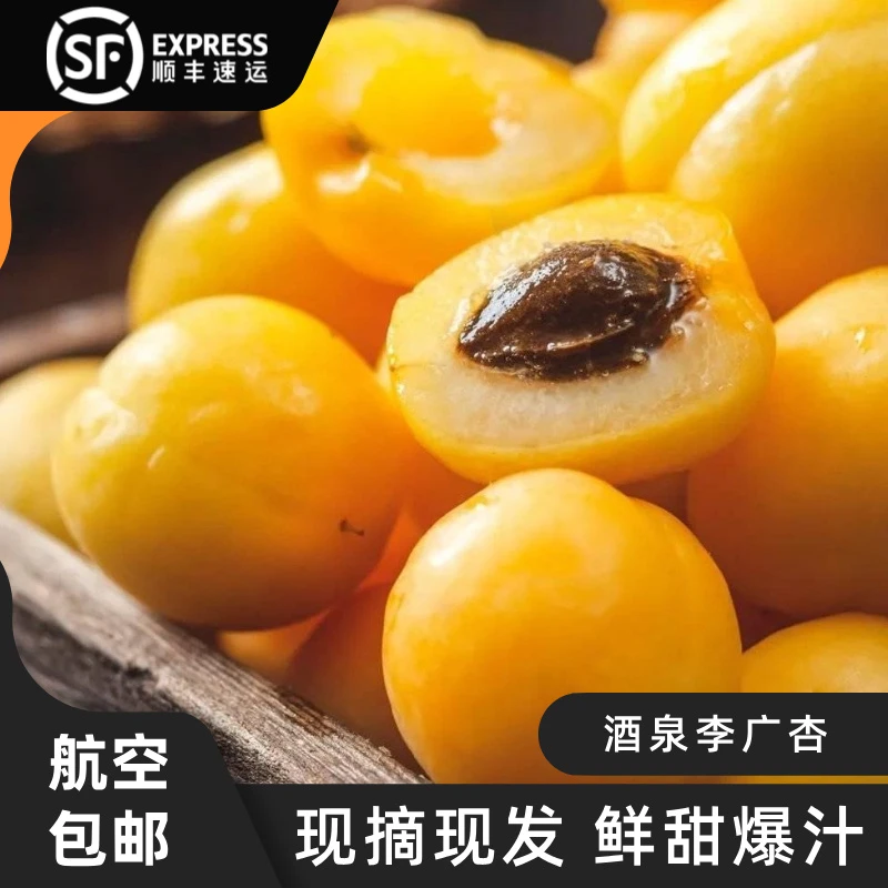 【顺丰航空】正宗李广杏新鲜水果现发甘肃当季时令整箱杏子