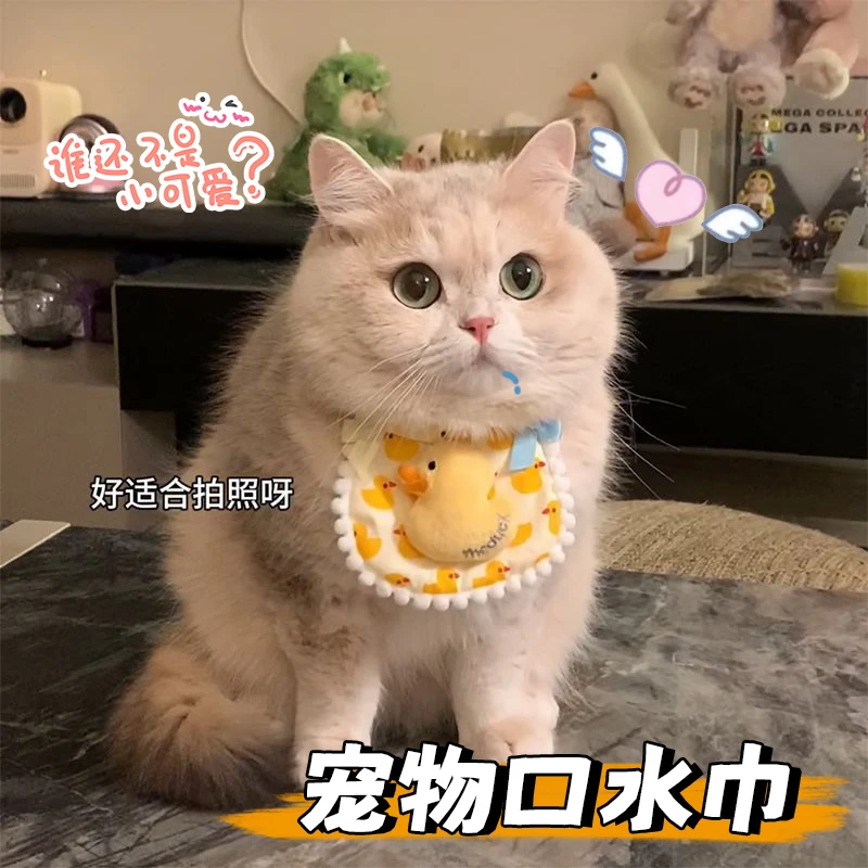 猫咪可爱围兜宠物蕾丝布艺口水巾手工编织拍照饰品围脖装饰项圈